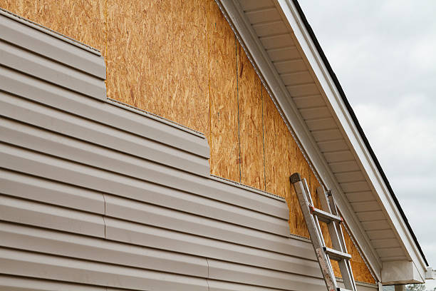 Professional Storm Damage Siding Repair technician working in Edgewater, CO